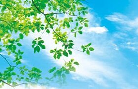 精華なでしこ会会報「華」(第11号)発行